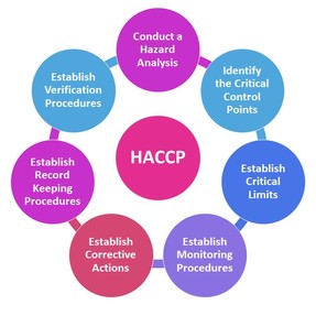 HACCP Consultants in Bangalore
